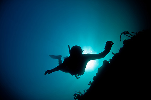 Photographie sous-marine : apnée, apnéiste - Frédéric LECHAT, photographe professionnel reportage subaquatique.
